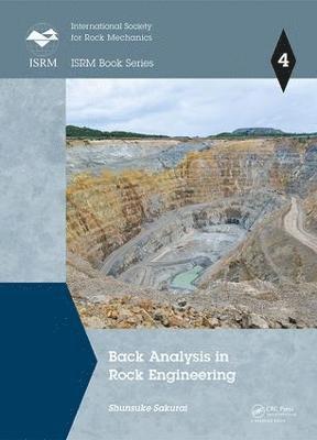 bokomslag Back Analysis in Rock Engineering