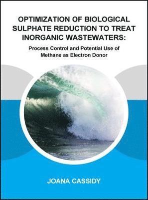 Optimization of Biological Sulphate Reduction to Treat Inorganic Wastewaters 1