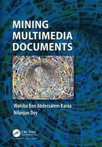 bokomslag Mining Multimedia Documents