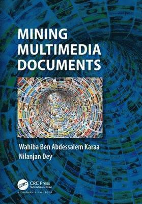 bokomslag Mining Multimedia Documents