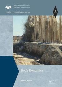 bokomslag Rock Dynamics