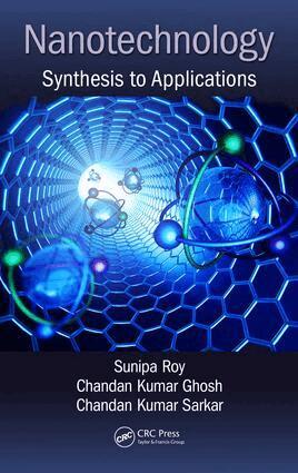 Sunipa Roy, Chandan Kumar Ghosh, Chandan Kumar Sarkar - Nanotechnology, Inbunden