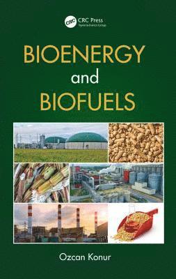 bokomslag Bioenergy and Biofuels