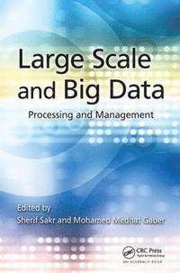bokomslag Large Scale and Big Data