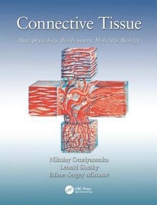 Connective Tissue 1