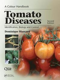 bokomslag Tomato Diseases