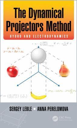 Sergey Leble, Anna Perelomova - Dynamical Projectors Method, Inbunden