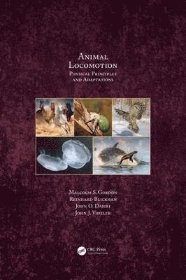 Animal Locomotion 1