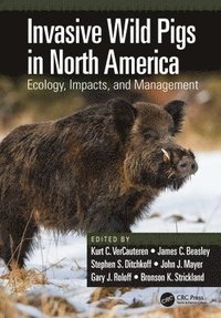 bokomslag Invasive Wild Pigs in North America