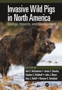 bokomslag Invasive Wild Pigs in North America