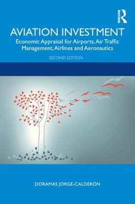 bokomslag Aviation Investment