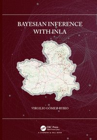 bokomslag Bayesian inference with INLA