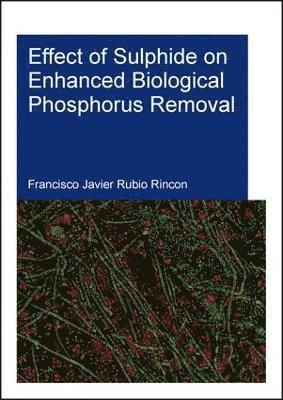 Effect of Sulphide on Enhanced Biological Phosphorus Removal 1