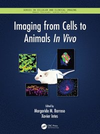 bokomslag Imaging from Cells to Animals In Vivo