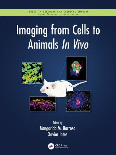 Margarida M. Barroso, Xavier Intes, Margarida Barroso, Xavier Intes - Imaging from Cells to Animals In Vivo, Inbunden