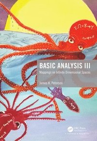 bokomslag Basic Analysis III