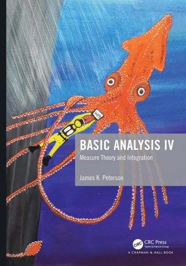 bokomslag Basic Analysis IV