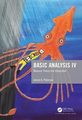 James K. Peterson, USA) Peterson, James K. (Clemson University - Basic Analysis IV, Inbunden
