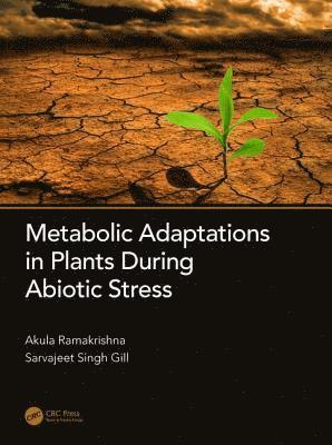 bokomslag Metabolic Adaptations in Plants During Abiotic Stress