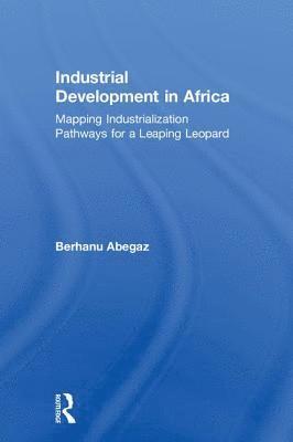 bokomslag Industrial Development in Africa
