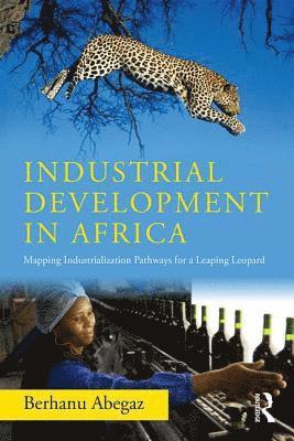 bokomslag Industrial Development in Africa