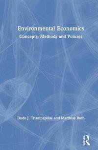 bokomslag Environmental Economics