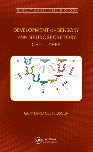Gerhard Schlosser - Development of Sensory and Neurosecretory Cell Types, Inbunden