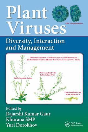 Rajarshi Kumar Gaur, SMP Khurana, Yuri Dorokhov - Plant Viruses, Inbunden