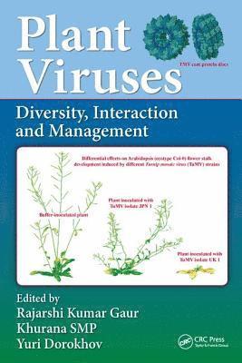 bokomslag Plant Viruses