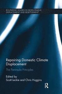 bokomslag Repairing Domestic Climate Displacement