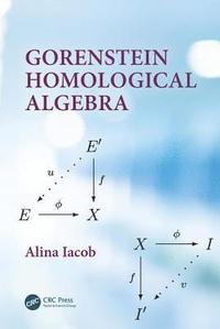 bokomslag Gorenstein Homological Algebra