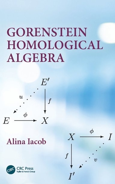 bokomslag Gorenstein Homological Algebra