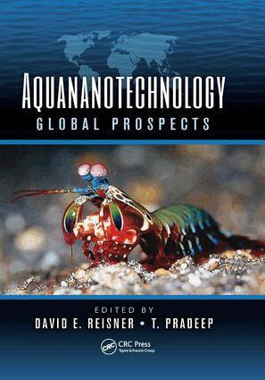 David E. Reisner, T. Pradeep - Aquananotechnology, Häftad