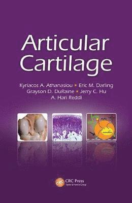 bokomslag Articular Cartilage