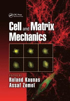 Cell and Matrix Mechanics 1