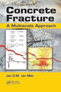 bokomslag Concrete Fracture