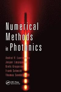bokomslag Numerical Methods in Photonics