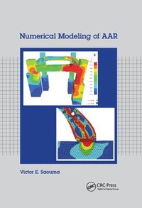 bokomslag Numerical Modeling of AAR