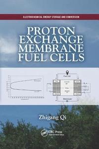 bokomslag Proton Exchange Membrane Fuel Cells