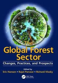 bokomslag The Global Forest Sector
