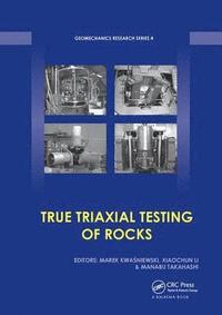 bokomslag True Triaxial Testing of Rocks