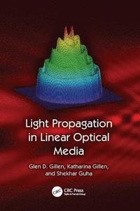 bokomslag Light Propagation in Linear Optical Media