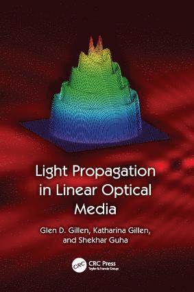 Light Propagation in Linear Optical Media