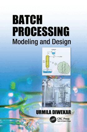 Urmila Diwekar - Batch Processing, Häftad