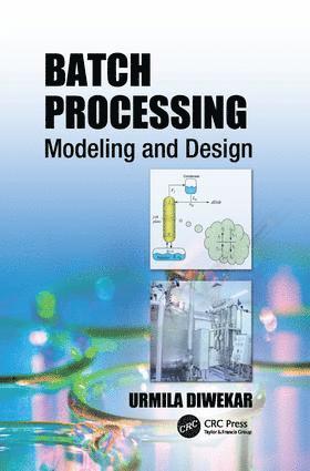 bokomslag Batch Processing