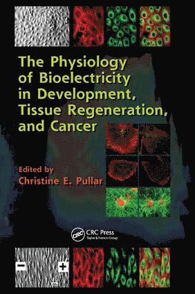 Physiology of Bioelectricity in Development, Tissue Regeneration and Cancer