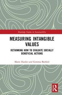 bokomslag Measuring Intangible Values