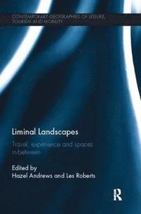 bokomslag Liminal Landscapes