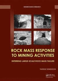 bokomslag Rock Mass Response to Mining Activities