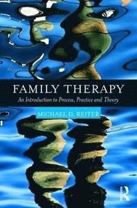 bokomslag Family Therapy: An Introduction to Process, Practice and Theory